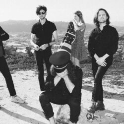 Picture of Yukon Blonde