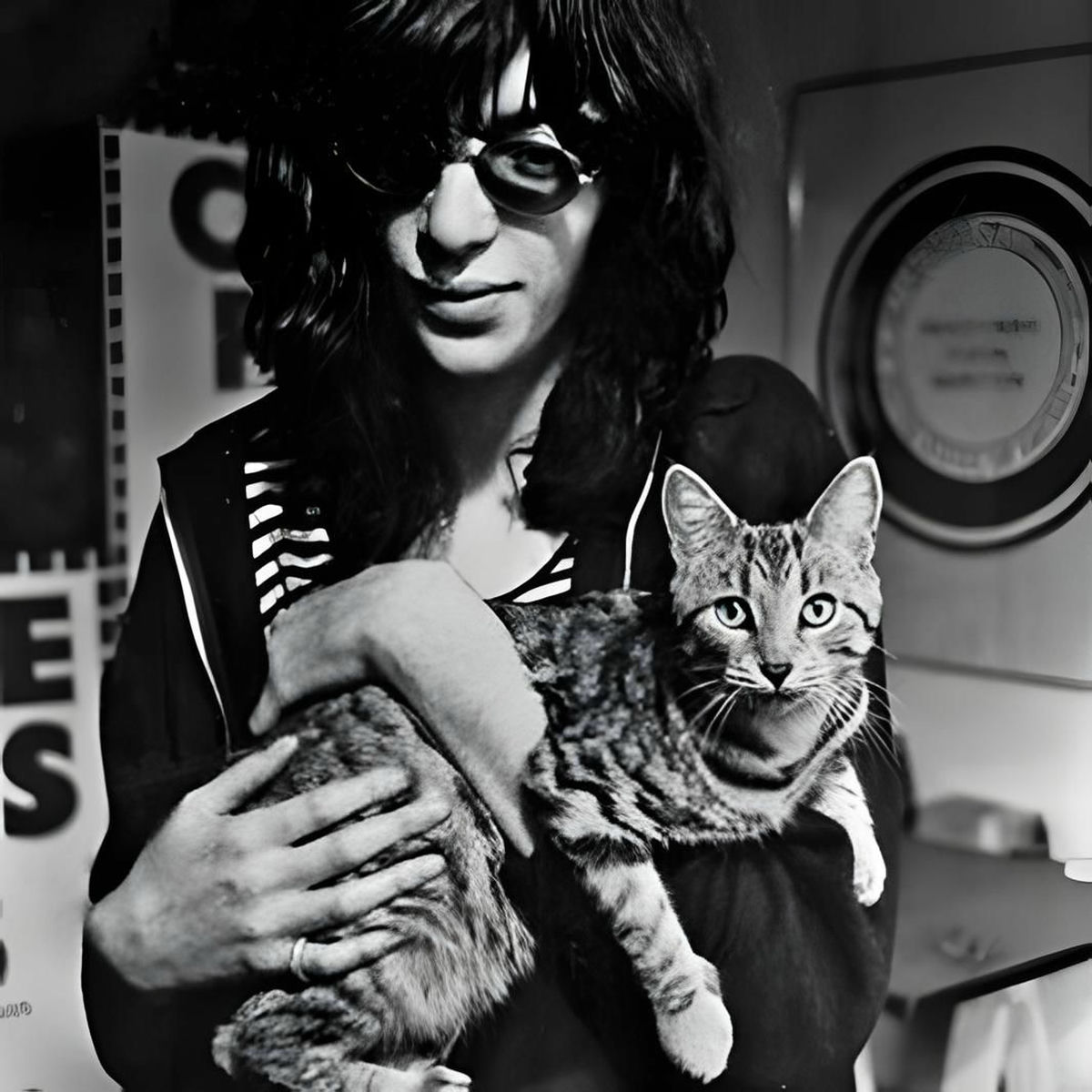 Artist picture of Joey Ramone