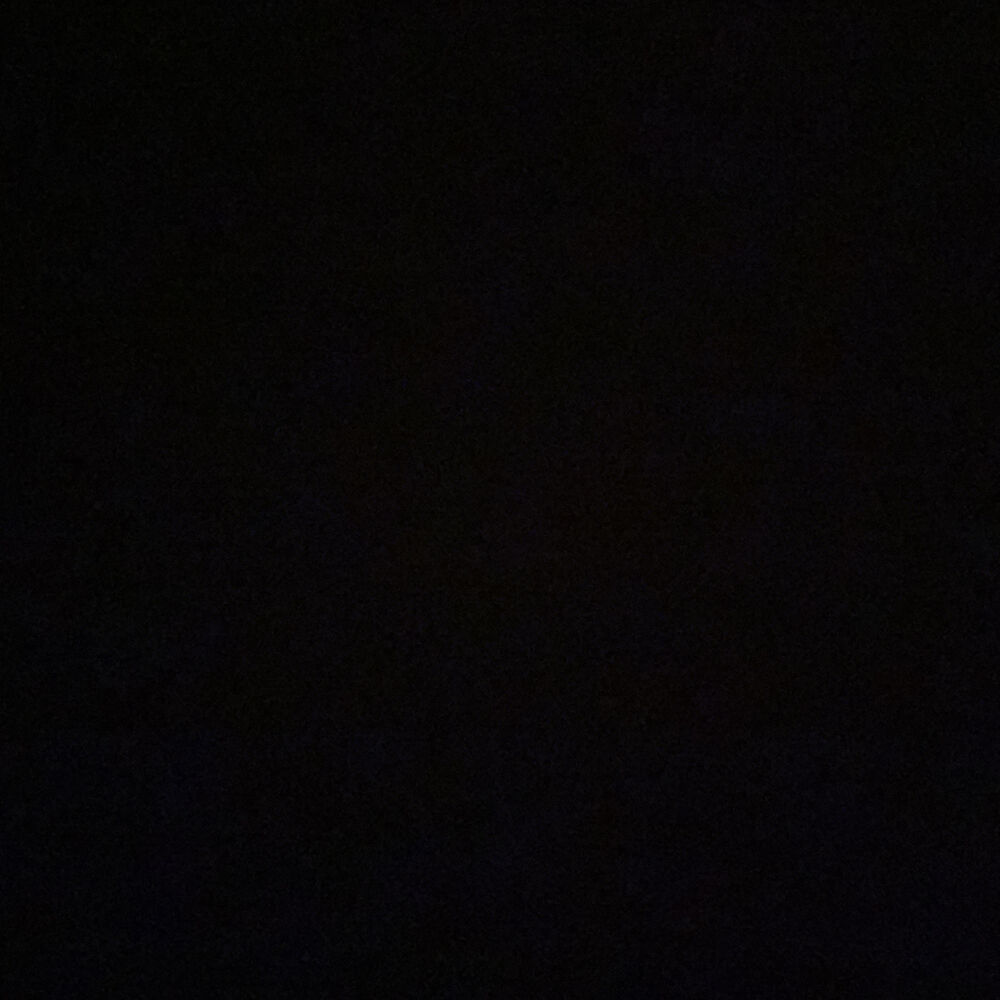 Picture of Arina