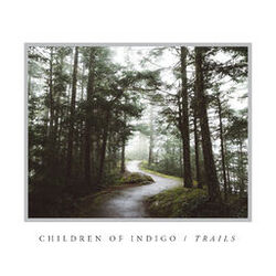 Picture of Children of Indigo