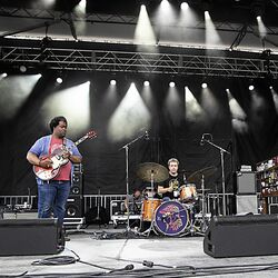 Picture of Delvon Lamarr Organ Trio