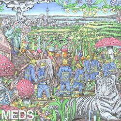 Picture of Mt. Eden