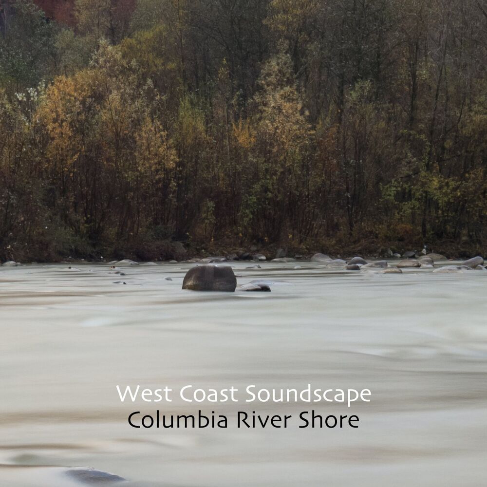 Picture of West Coast Soundscape
