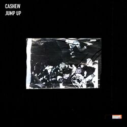 Picture of Cashew