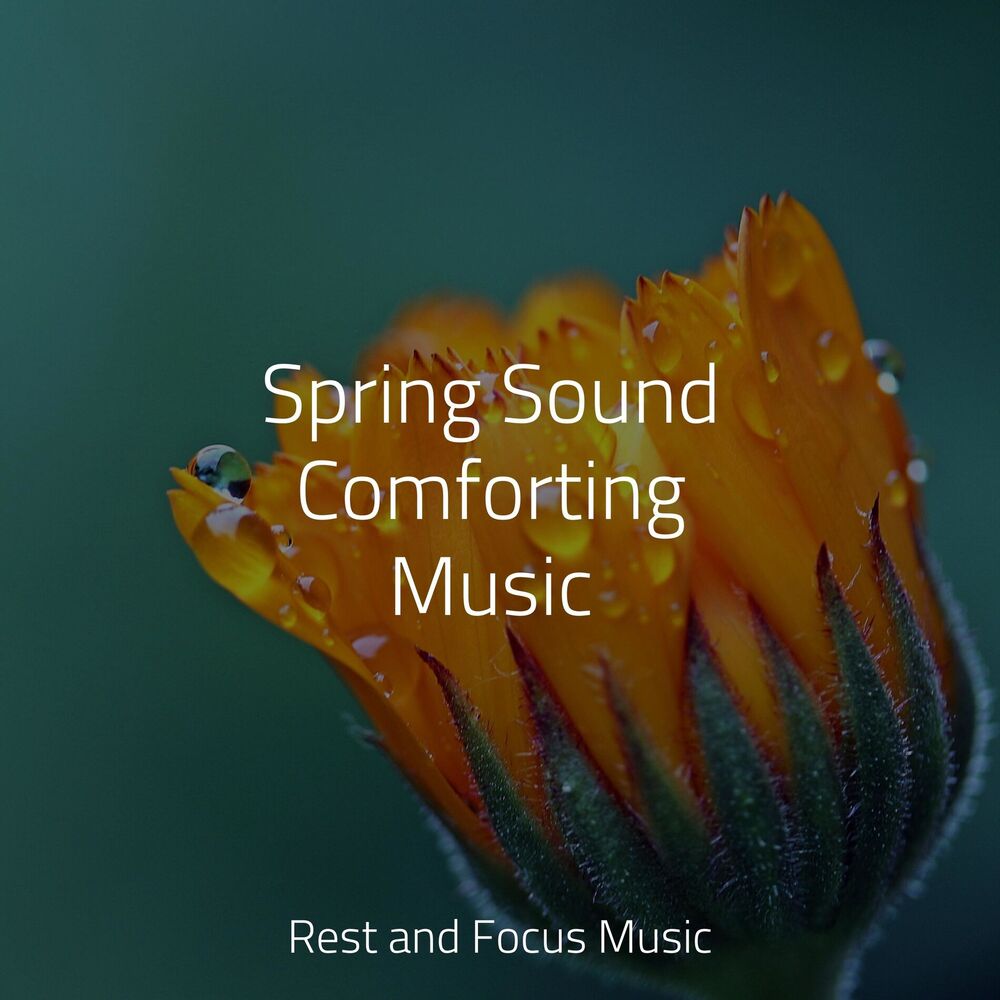 Picture of Childrens Music