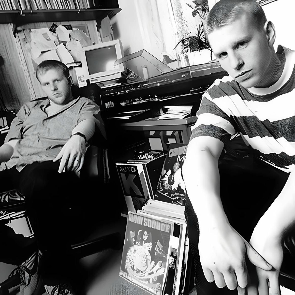 Artist picture of Stieber Twins