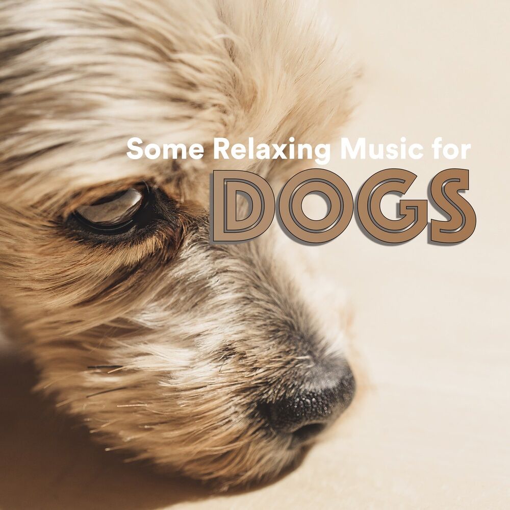 Picture of Some Dog Music