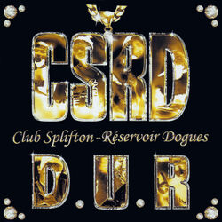 Picture of Csrd