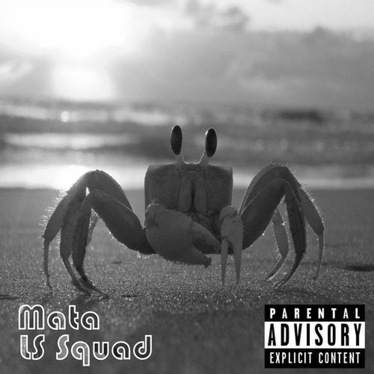 Artist picture of Mata