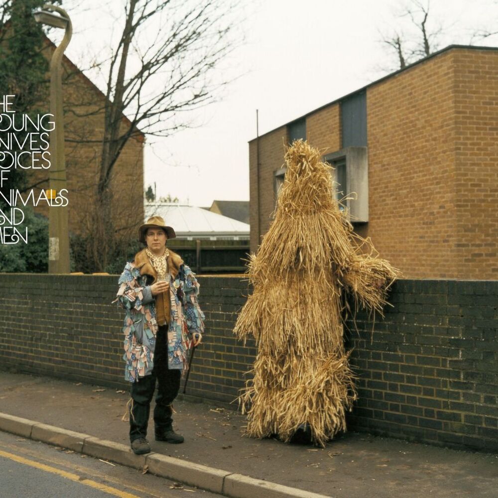 Picture of Young Knives