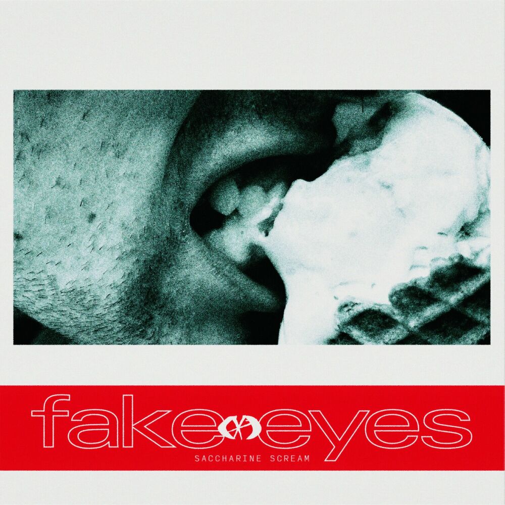 Picture of Fake Eyes