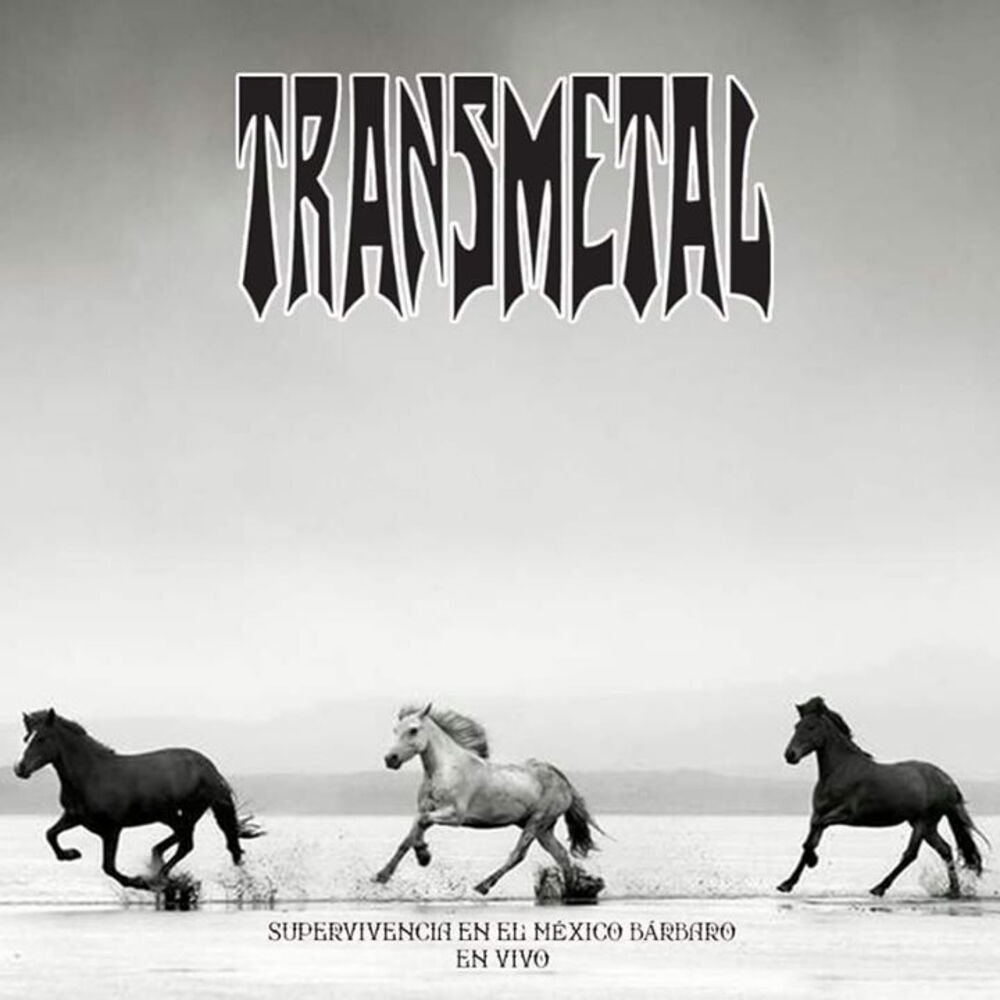 Picture of Transmetal