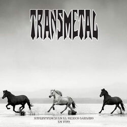 Picture of Transmetal