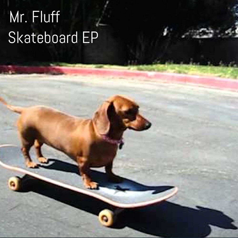 Picture of Mr. Fluff