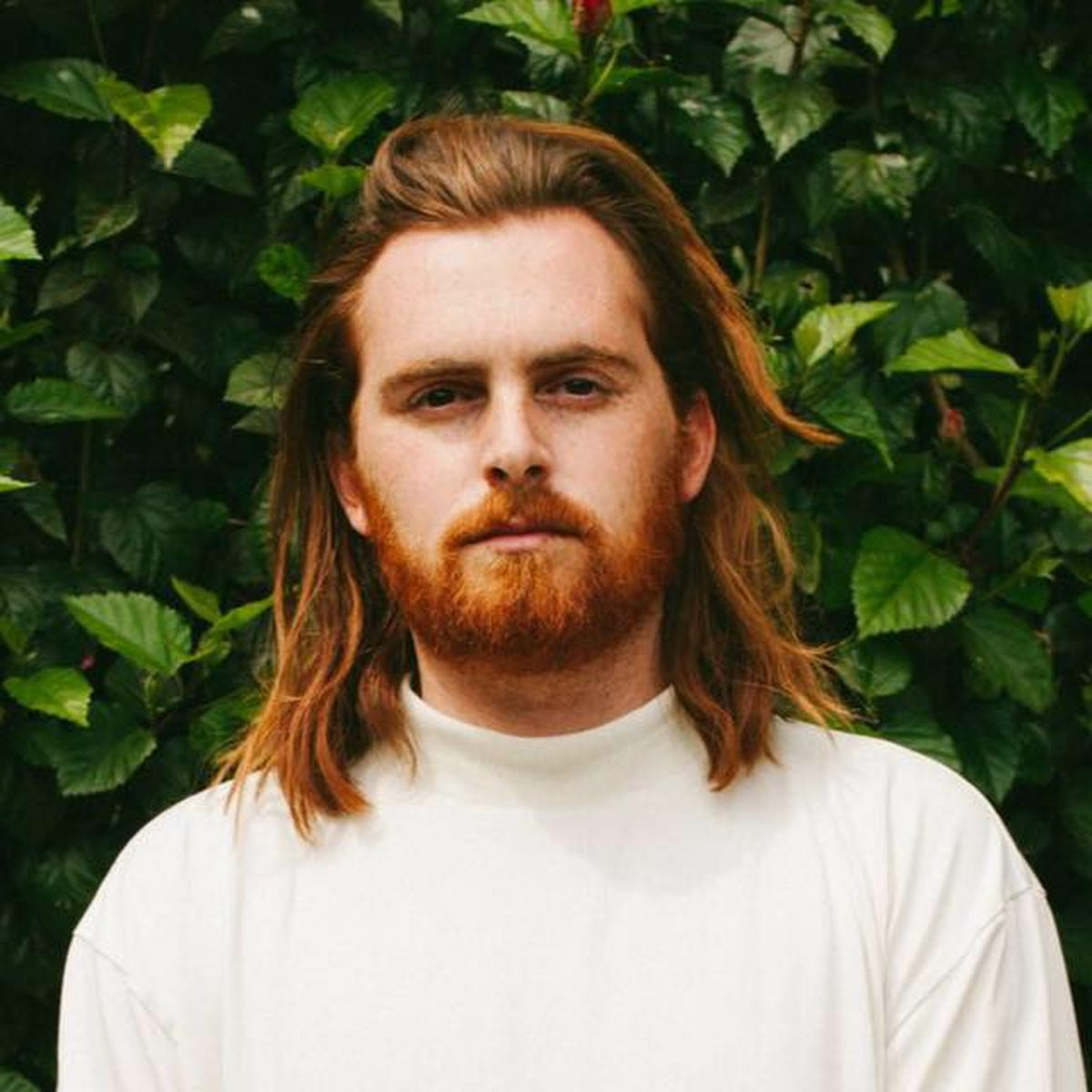 洋楽 Mikey Mo The MC / Rule By Decree Mikey Mike: álbuns, músicas, shows | Deezer