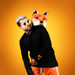 Picture of FOXEL