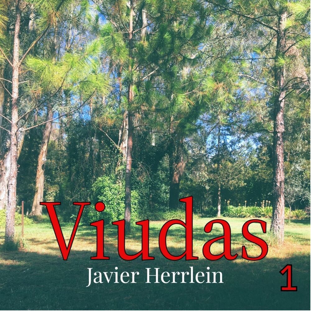 Picture of Javier Herrlein