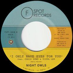 Picture of Night Owls