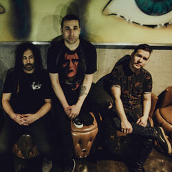 Picture of Islander