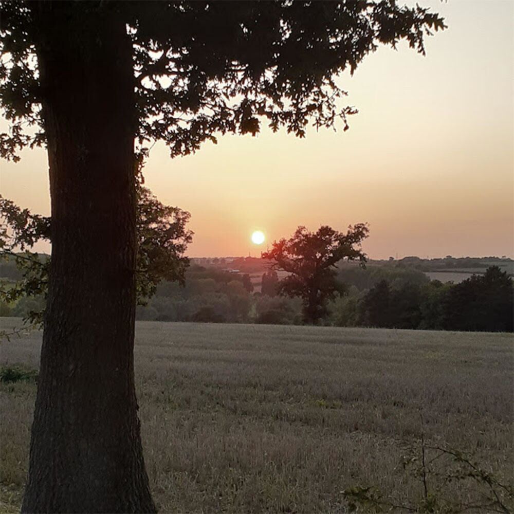 Picture of Limmz