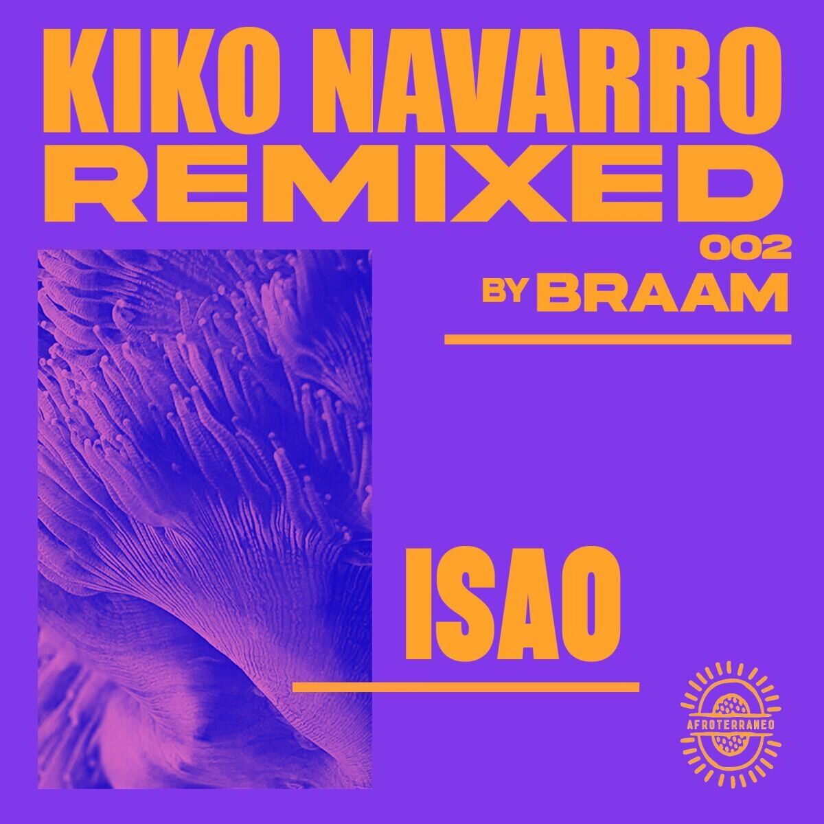 Artist picture of Kiko Navarro