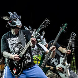 Picture of Milking The Goatmachine