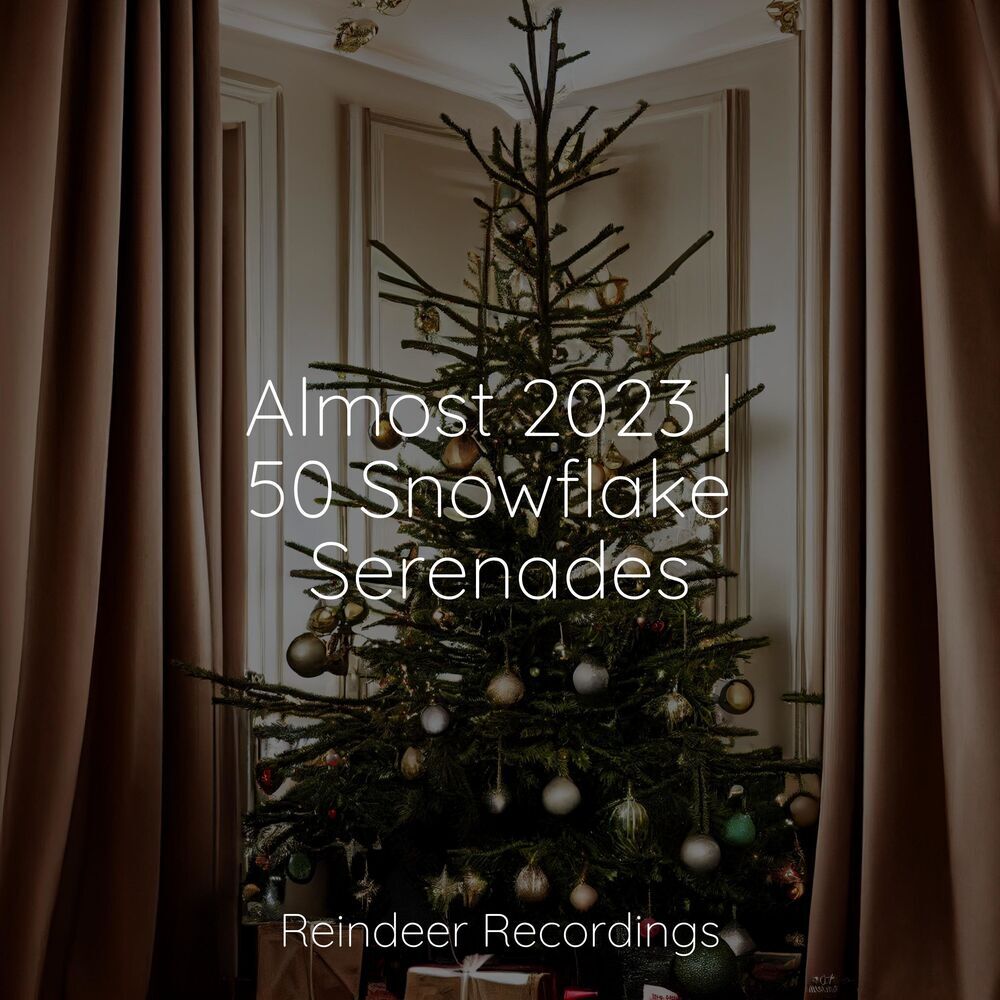 Picture of Classical Christmas Music Radio
