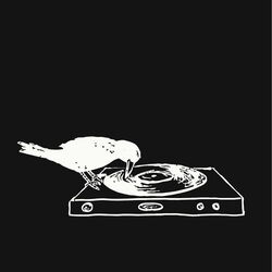 Picture of Dj Pepe