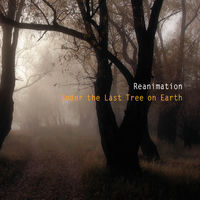 Reanimation