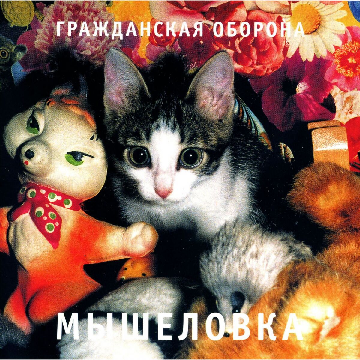 Гражданская Оборона