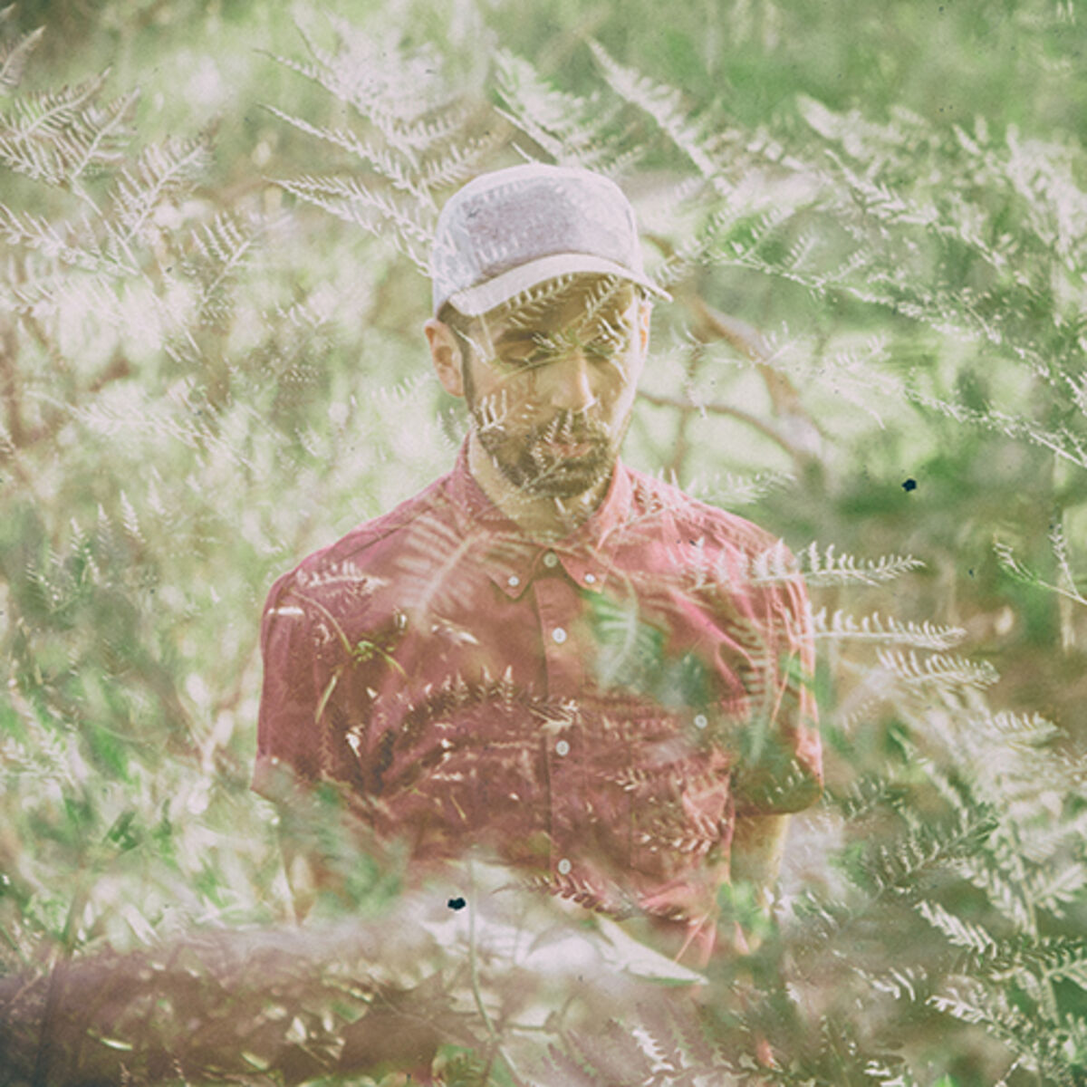 Jonny Faith