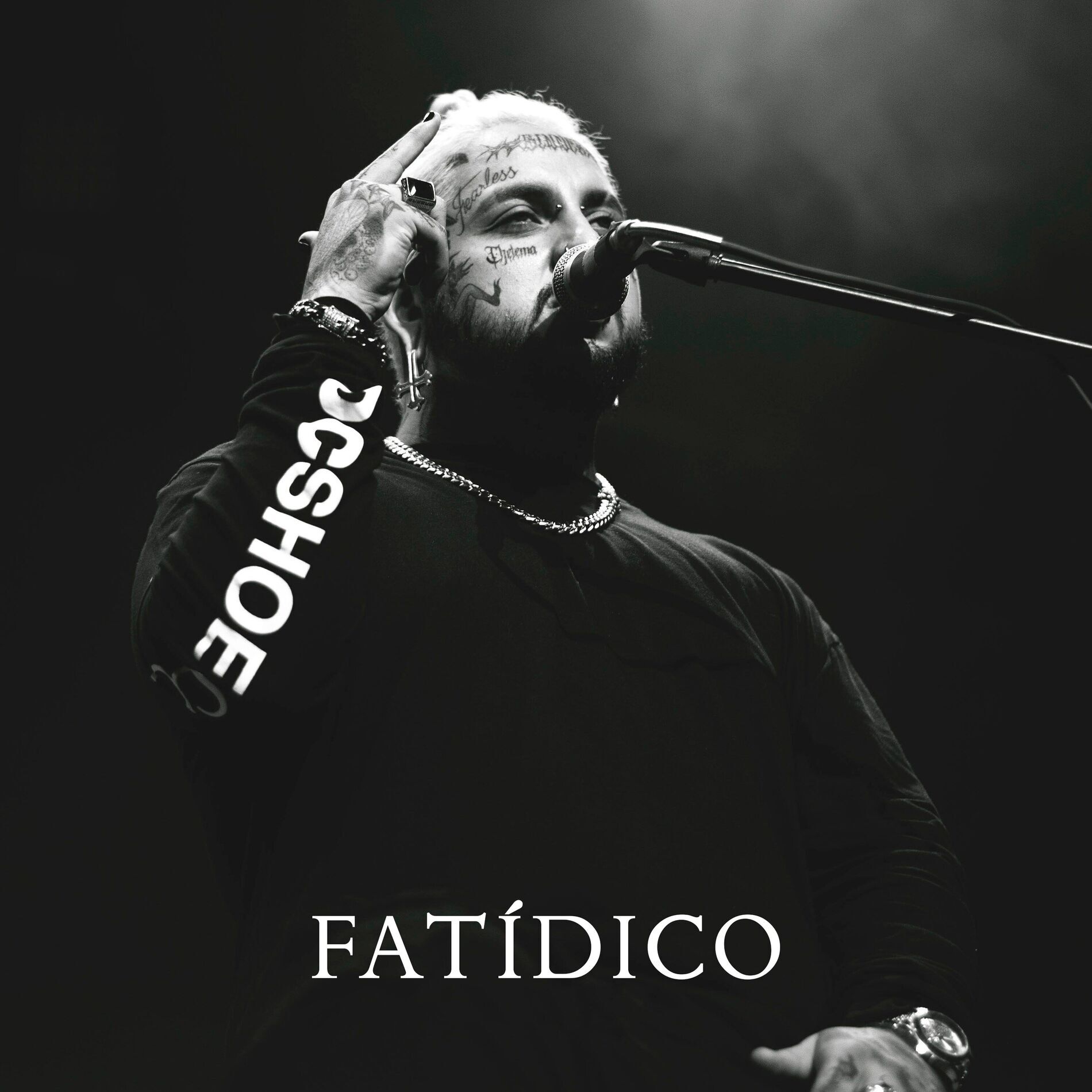 Lobo Estepario