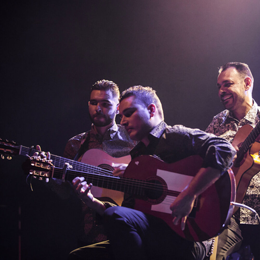 Picture of Fuego de Rumba