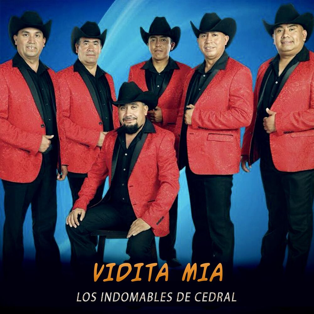 Picture of Los Indomables de Cedral