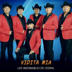 Picture of Los Indomables de Cedral