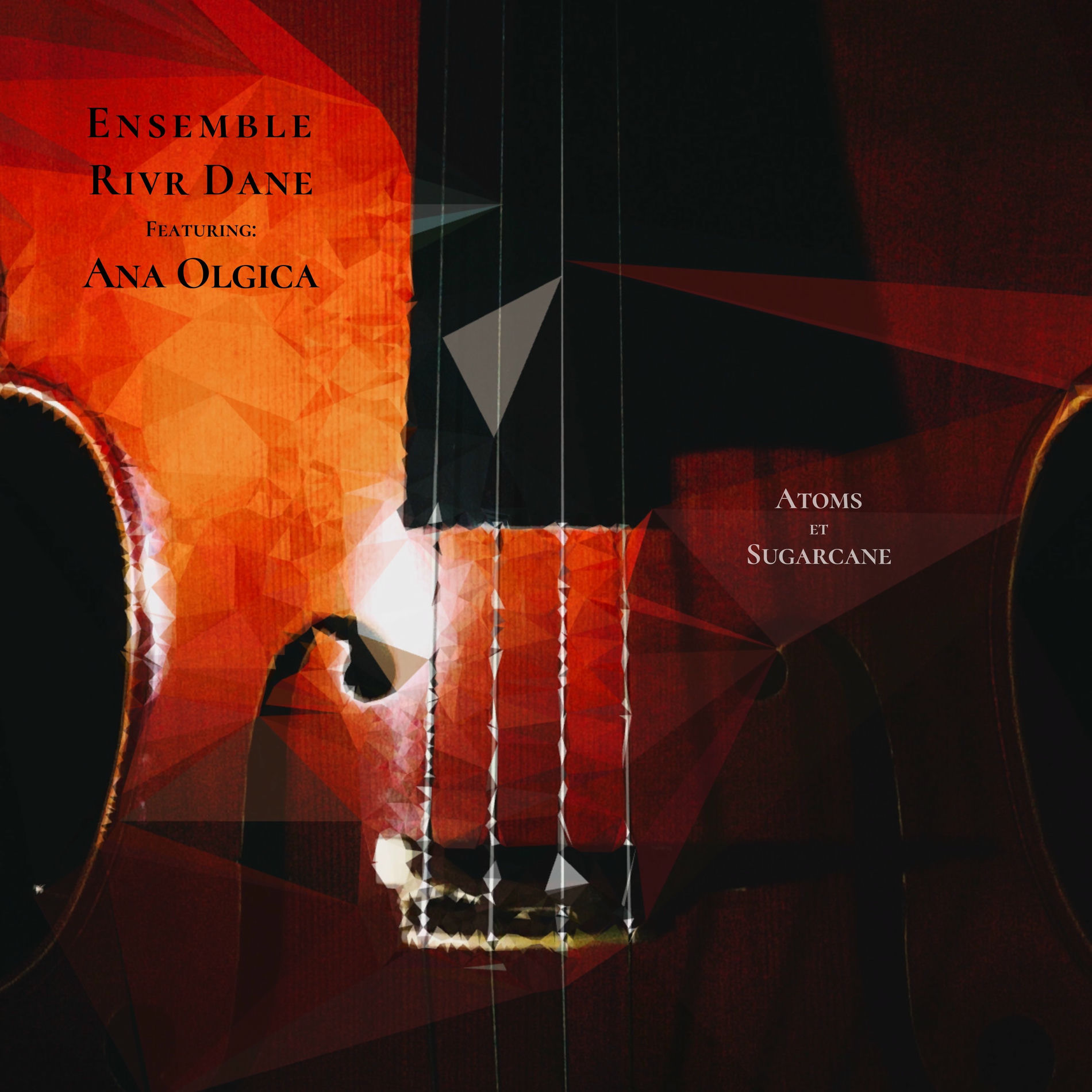 Artist picture of Ensemble Rivr Dane