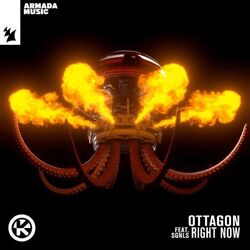 Picture of OTTAGON
