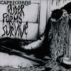 Picture of Capricorns