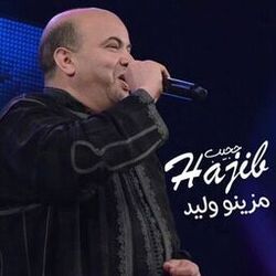 Picture of حجيب