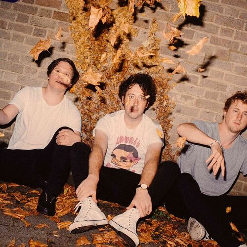 Cover image for The Wombats