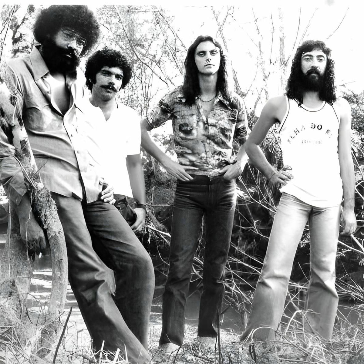 Artist picture of O Terco