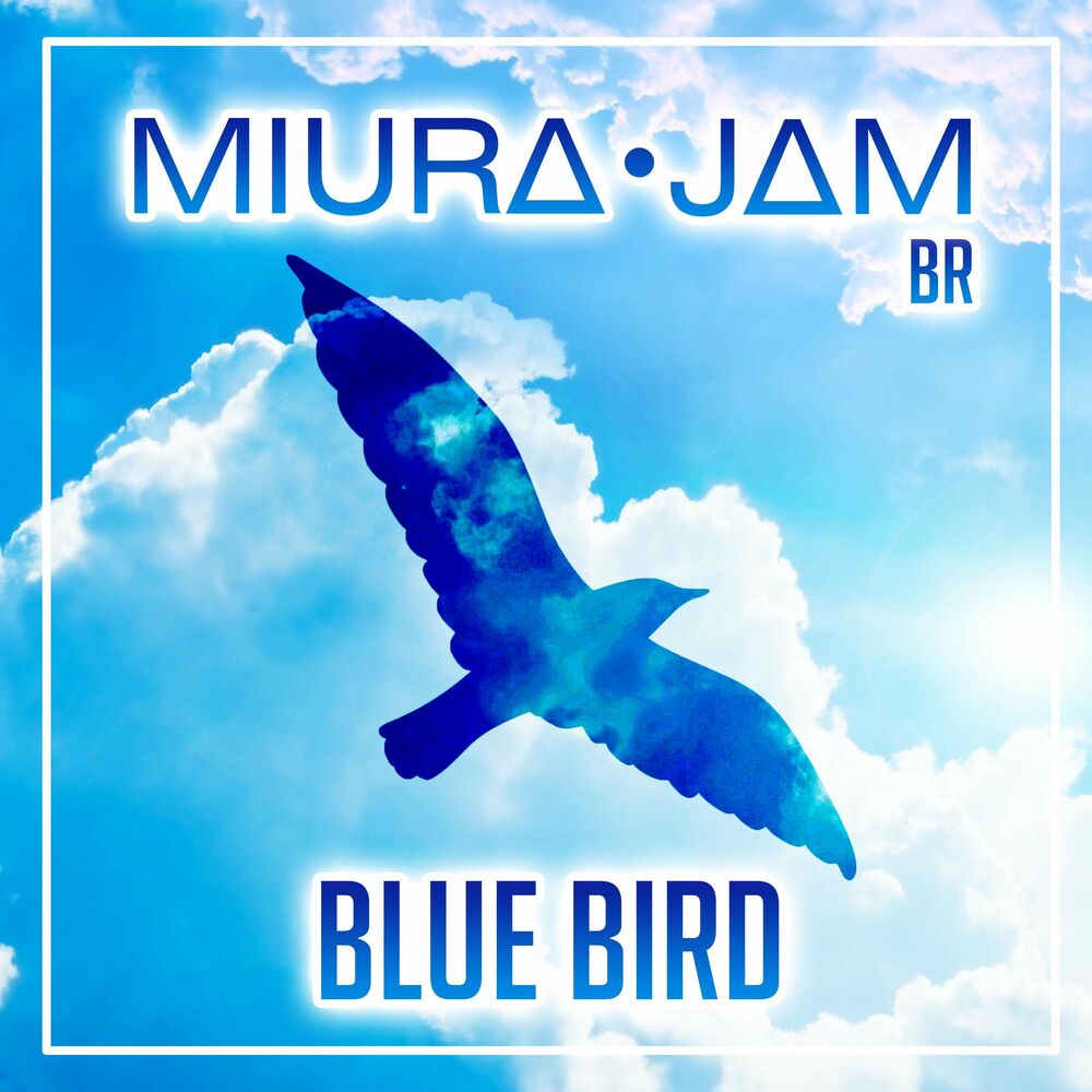 Picture of Miura Jam BR