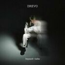 Drevo