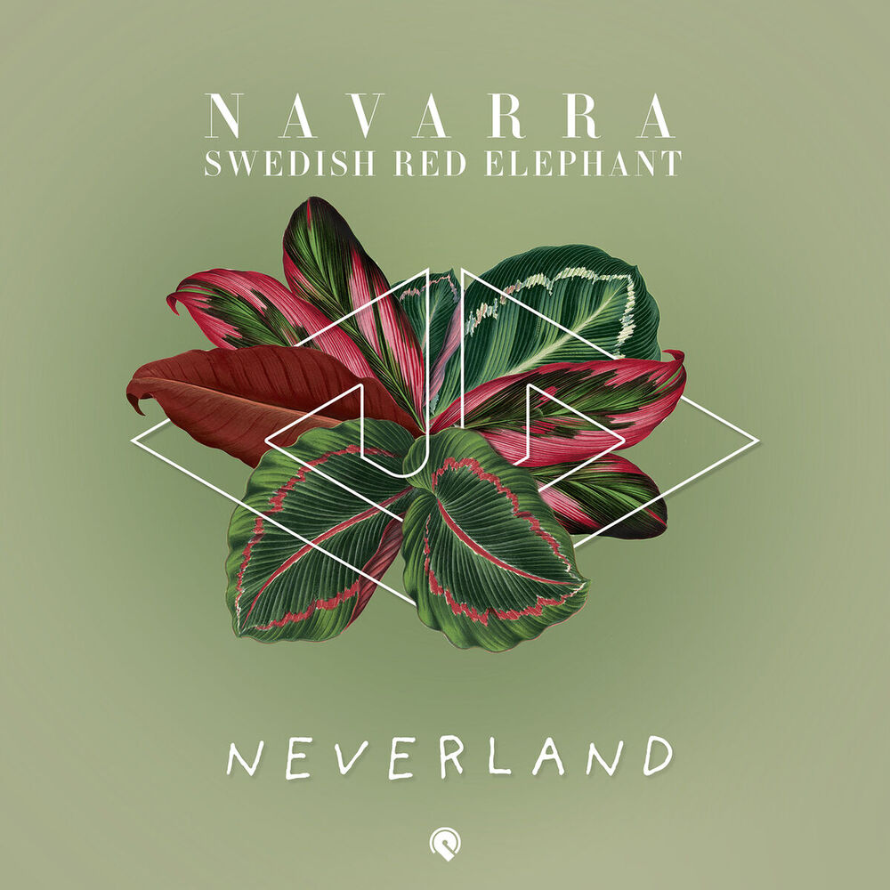 Picture of Navarra
