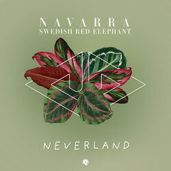 Picture of Navarra