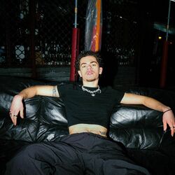 Picture of Toam