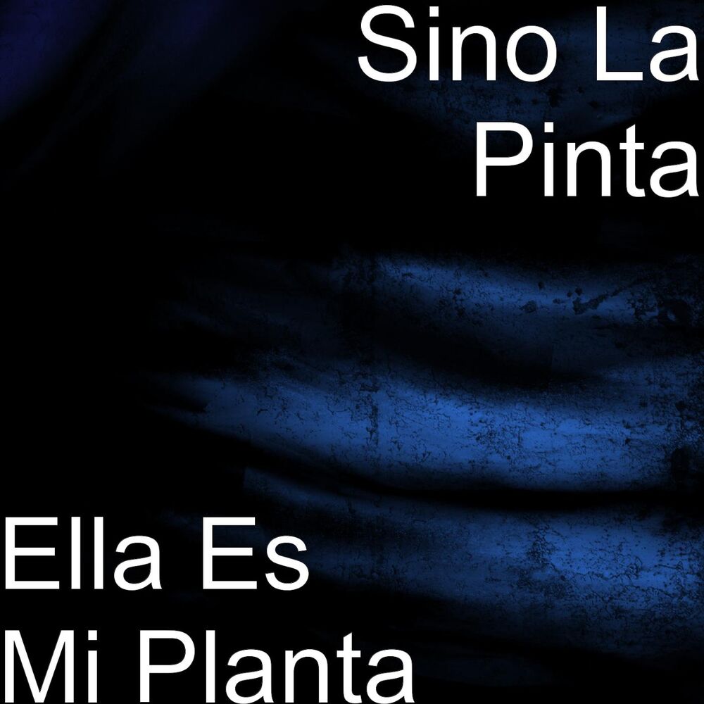 Picture of Sino La Pinta
