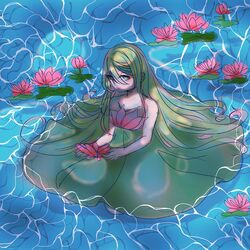 Picture of karasu.