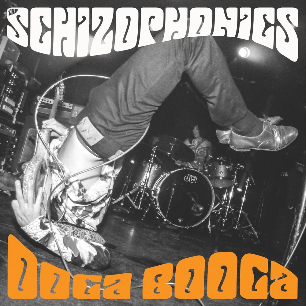 Picture of The Schizophonics