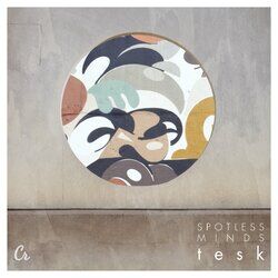 Picture of Tesk